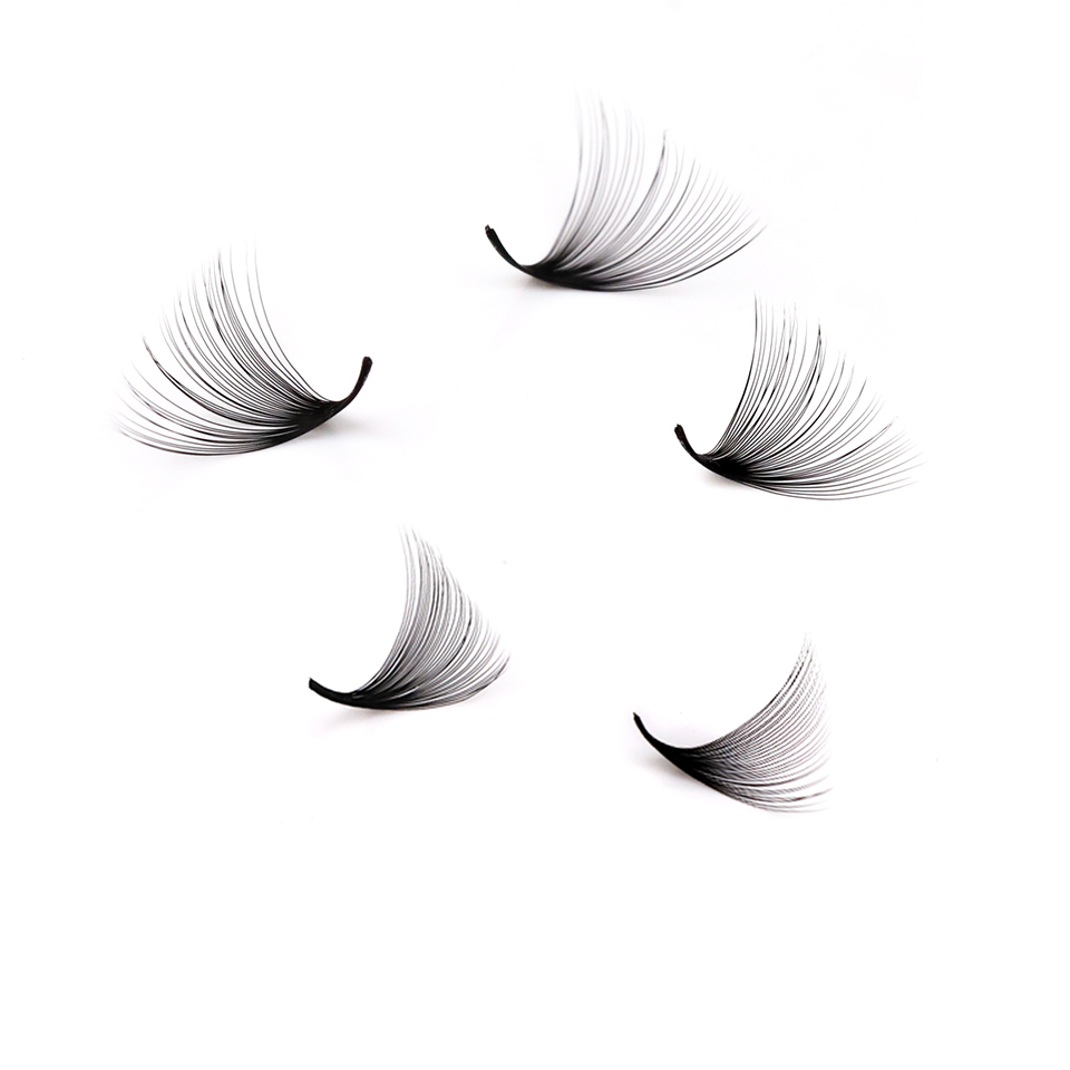 ถาดขนตาปลอม Lashprofessor XL แ - Eyelash Extension Russian Volume บทวิจารณ์และราคา